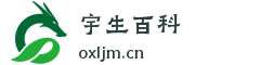 字皓